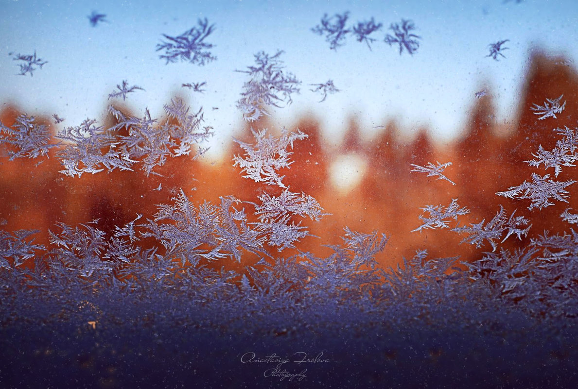 Чудеса на зимнем окошке - Anastasiya 