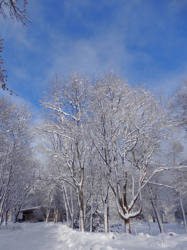Зимний пейзаж - U. South с Я.ру