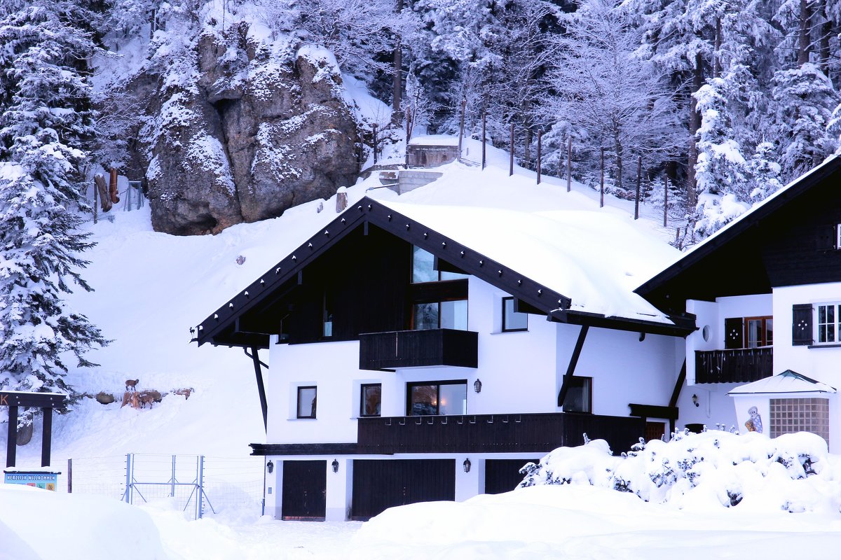 Зима в Альпах - vladimir 
