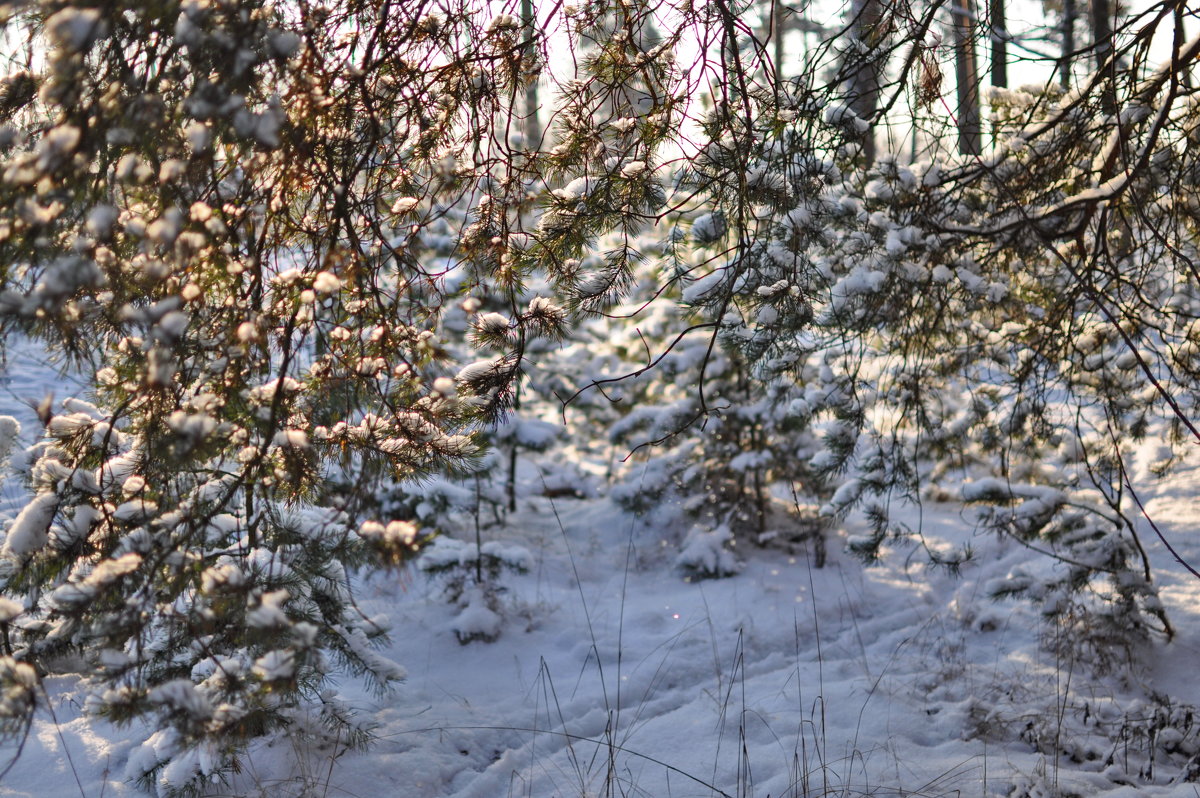 Конец февраля - Вера 