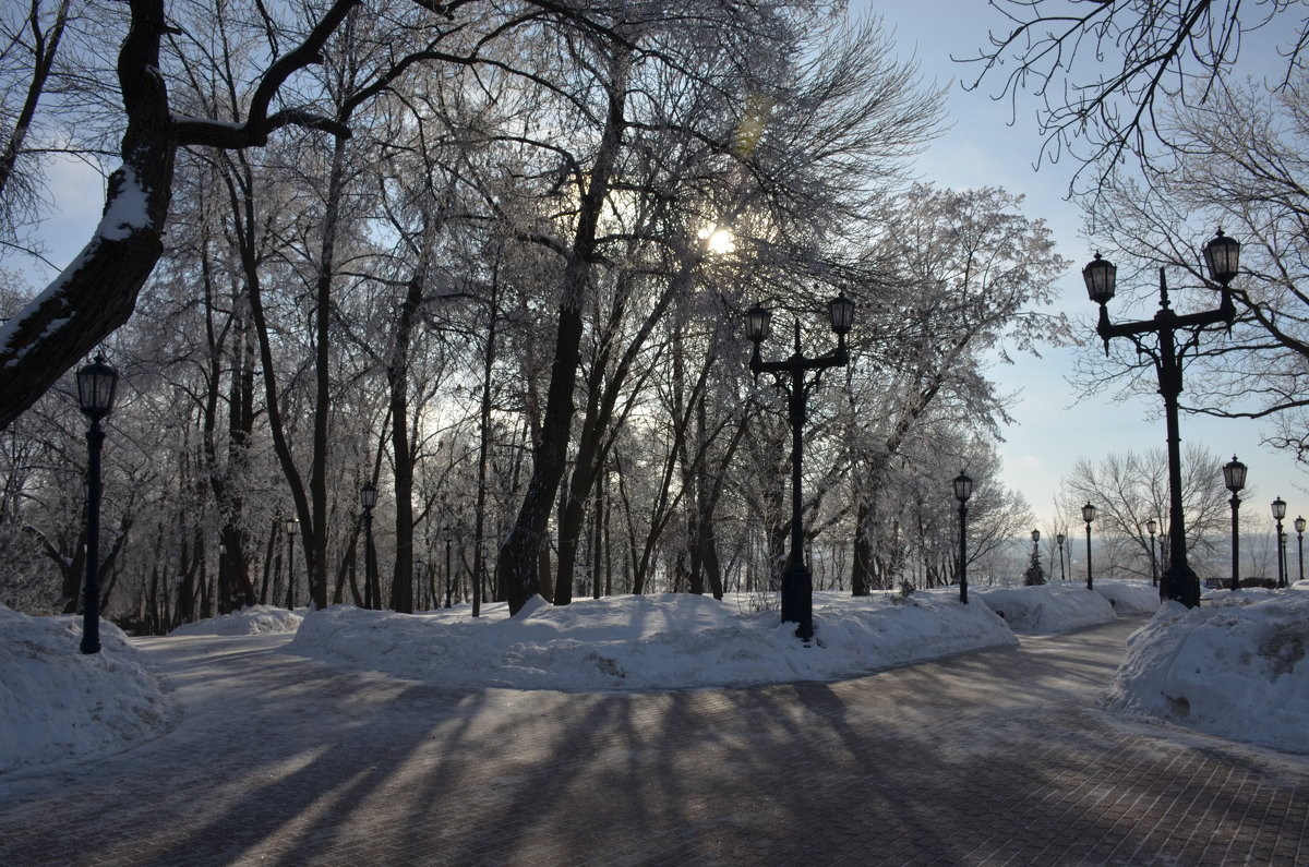 Дорожки в зимнем парке - Сергей Тагиров