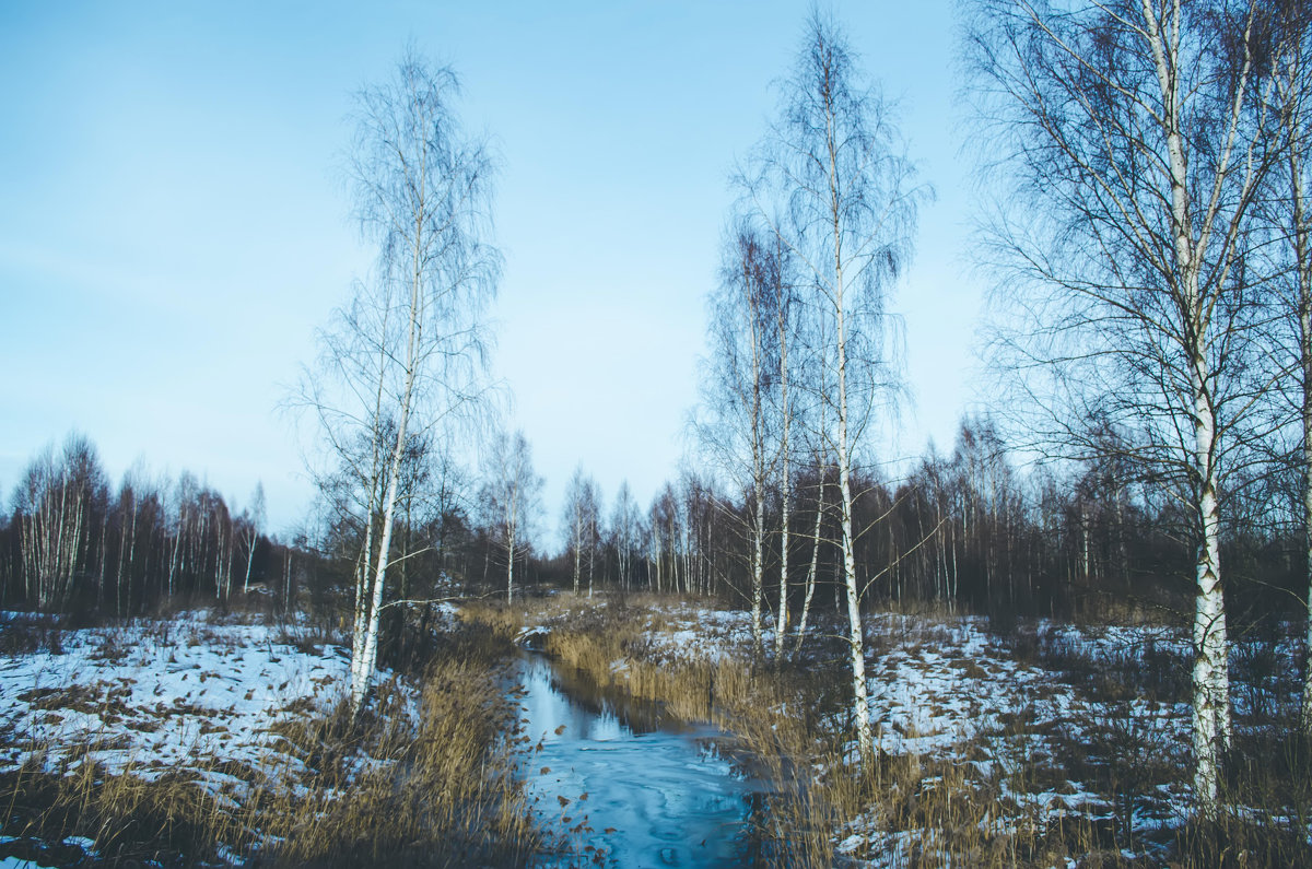 Река и берёзки зимой - Slava Leluga 