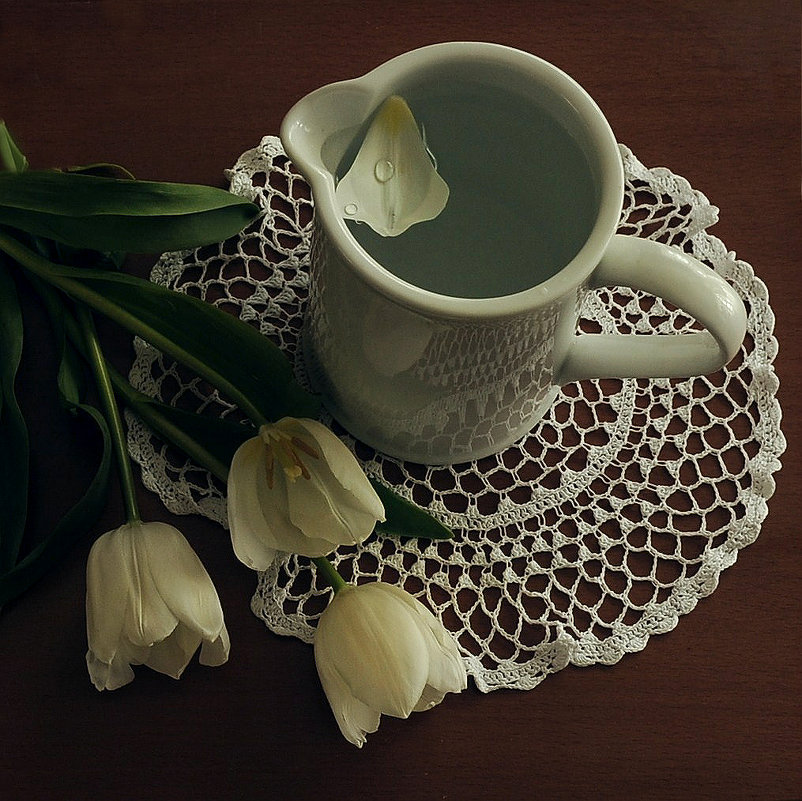 Белые тюльпаны - КатяСиника 