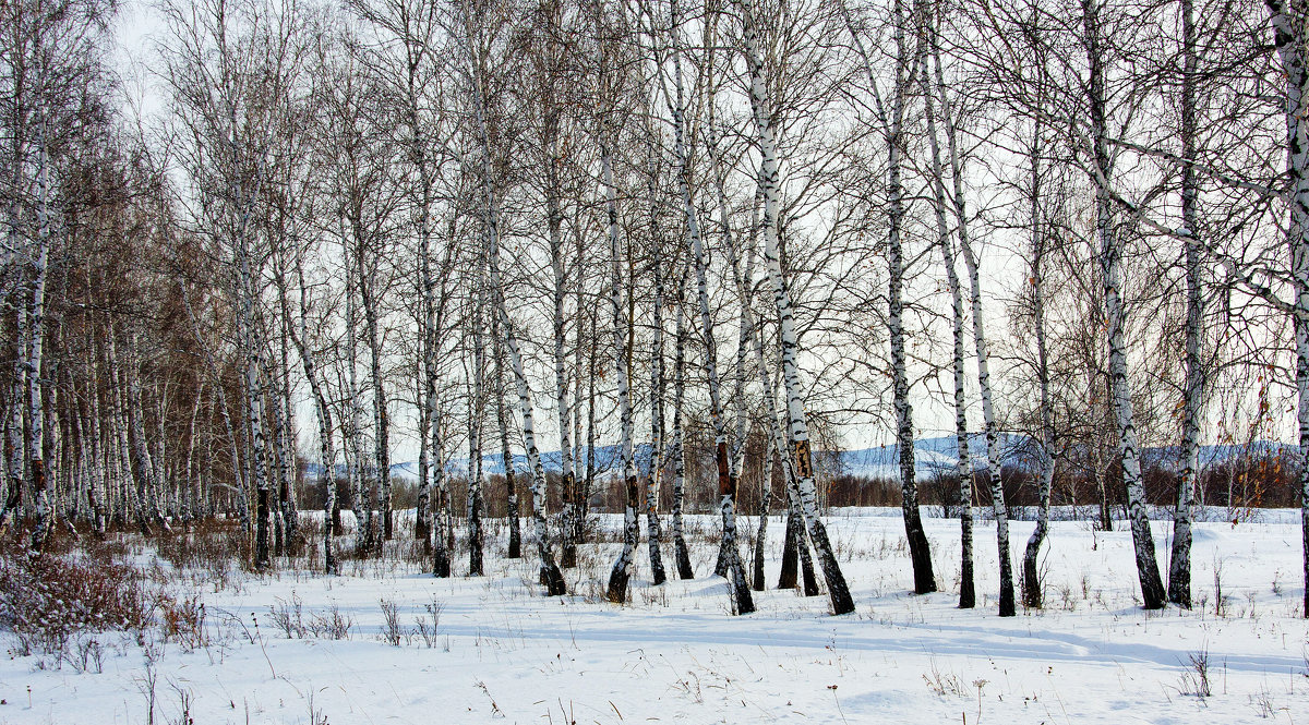 "В феврале" - Светлана 