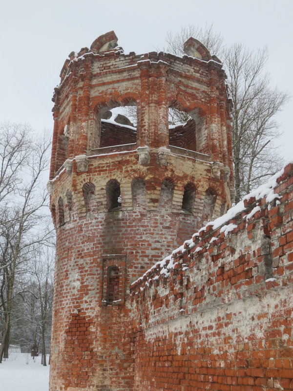 старая башня Фёдоровского городка - Елена 