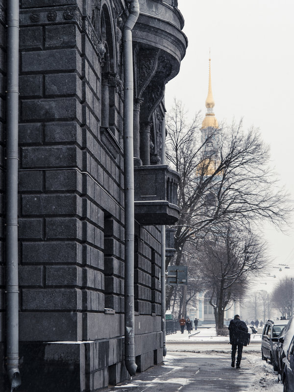 Улицы Питера... Зима 2016 - Елизавета Вавилова