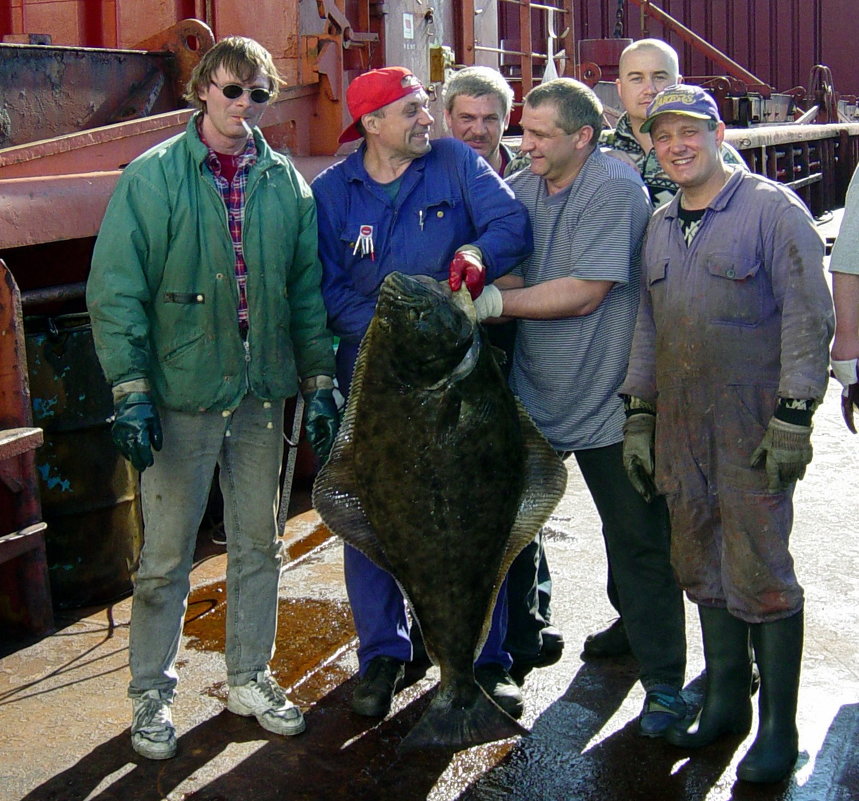 Мужики! А может быть, поговорим о рыбалке, морской…? (вес 46 кг.) - kolin marsh