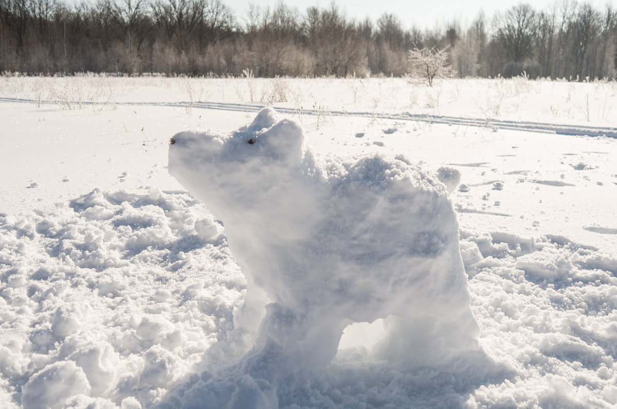 Снежный пес - Андрей Зайцев