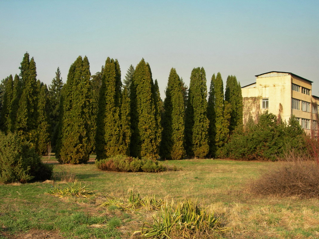 Ботанический сад Алматы. - Murat Bukaev 