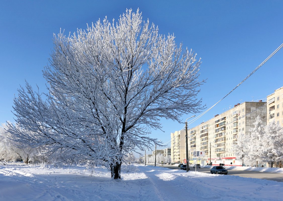 Декабрь в городе - Мария Кухта