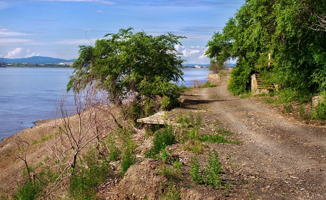 Амурские берега - Людмила Фил