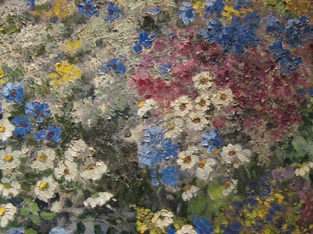 Полевые цветы - Маера Урусова