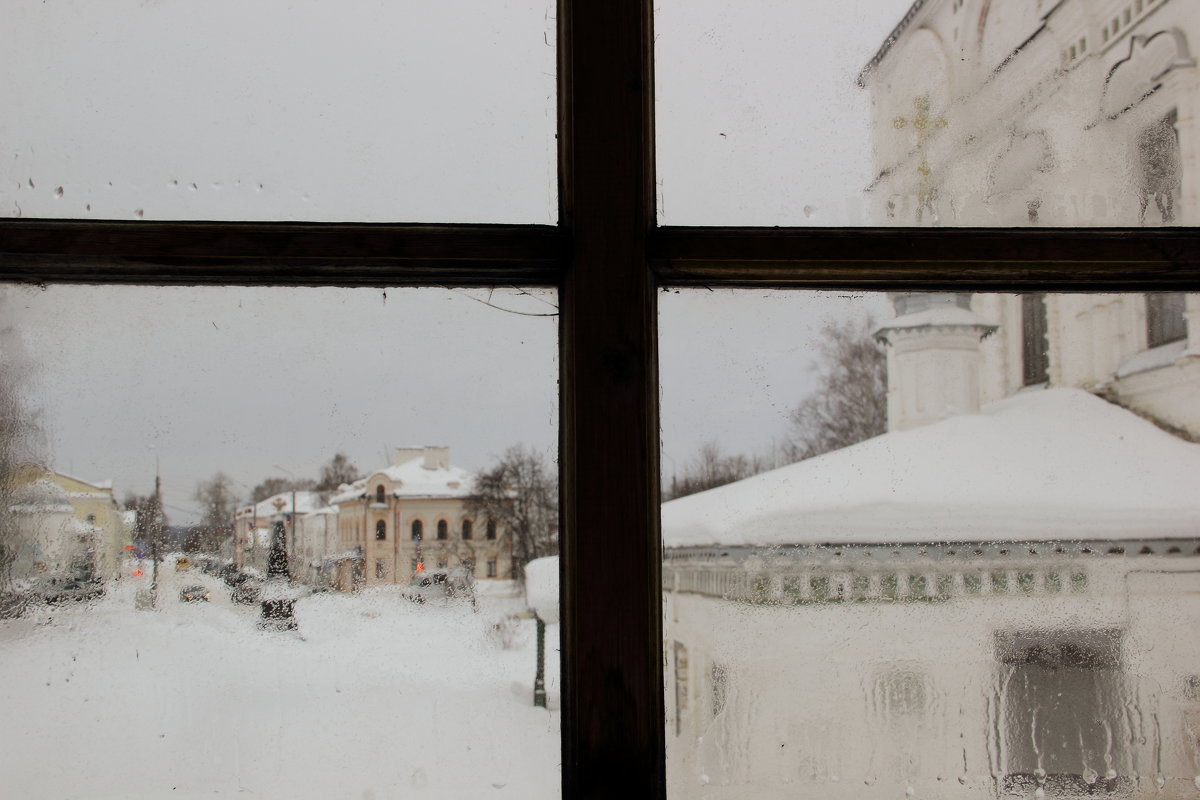 Из окна архива - Екатерина Молчанова 