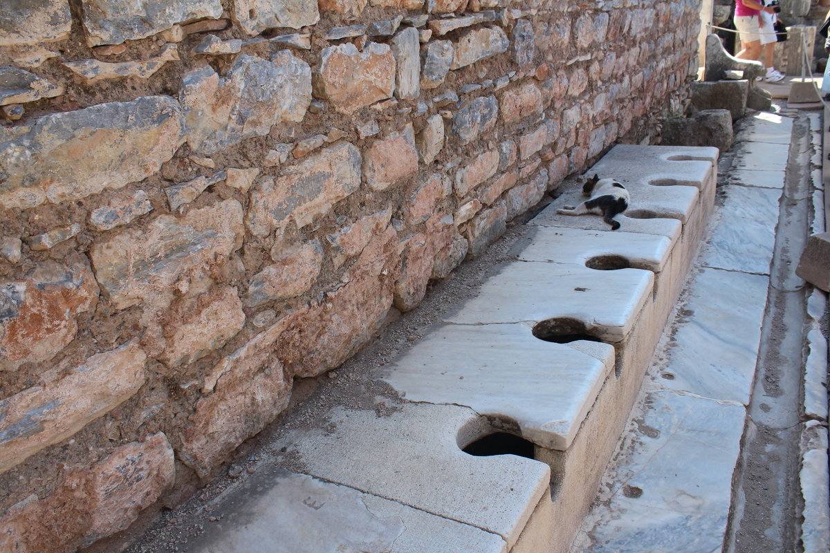 Эфес. Древний туалет и его новые обитатели - vadimka 