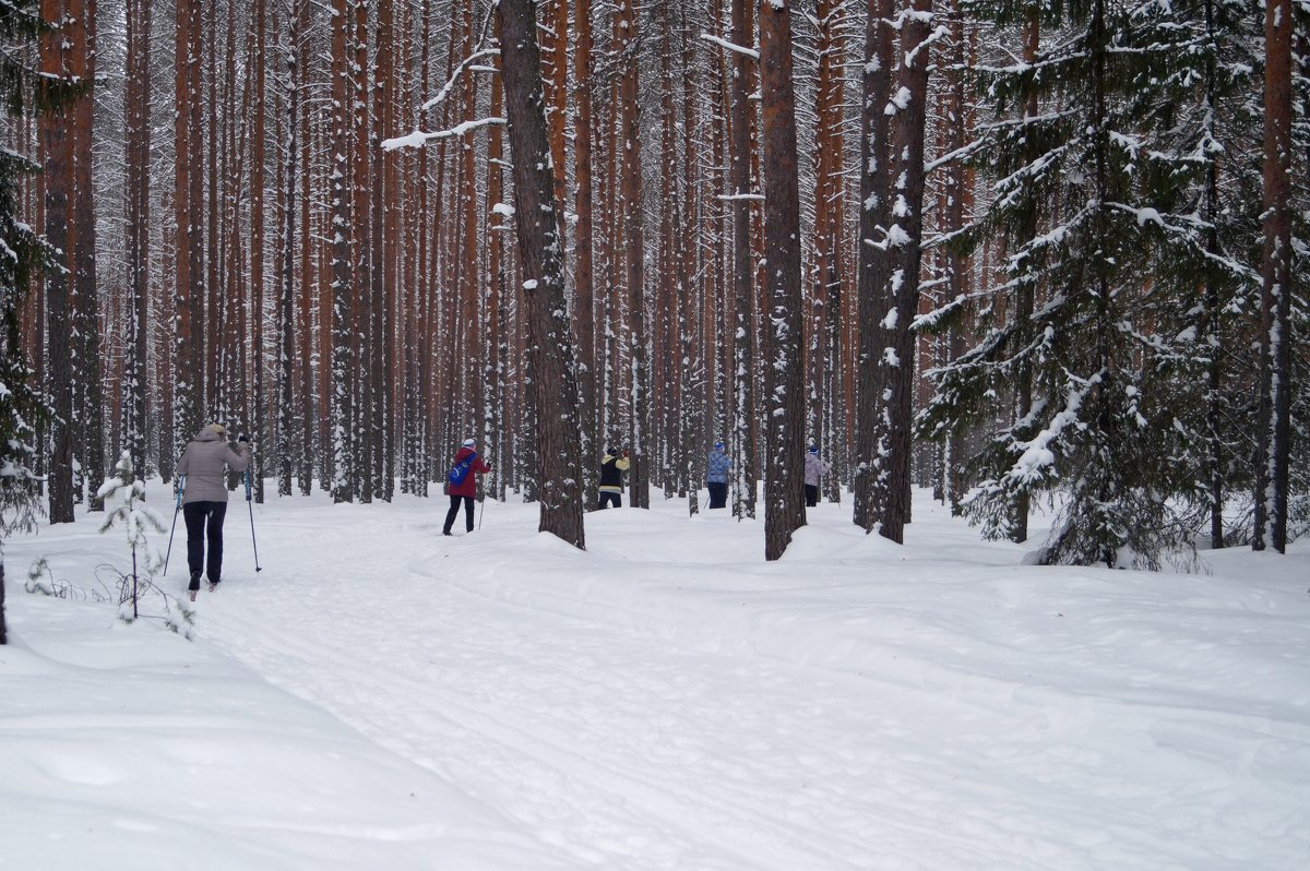 лыжники - Наталья Зимирева