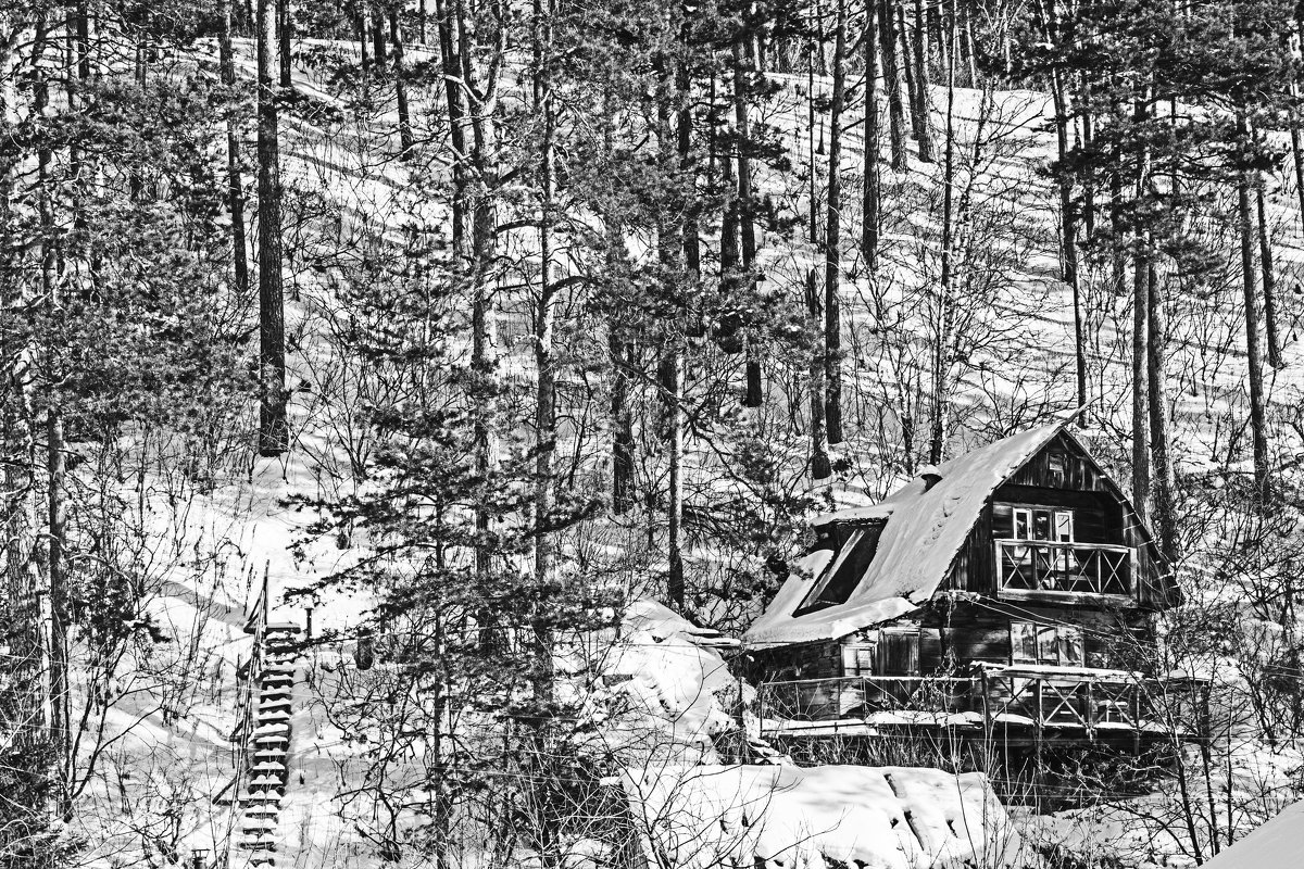 Дом в лесу - Станислав 