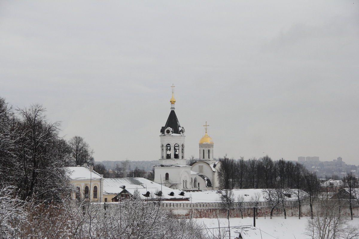 Вид на Богородице-Рождественский монастырь - Надежда Чернышева