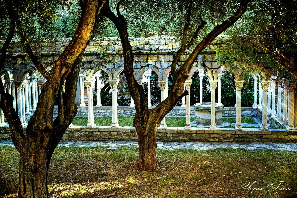 В тени оливкового сада... - Ирина Falcone