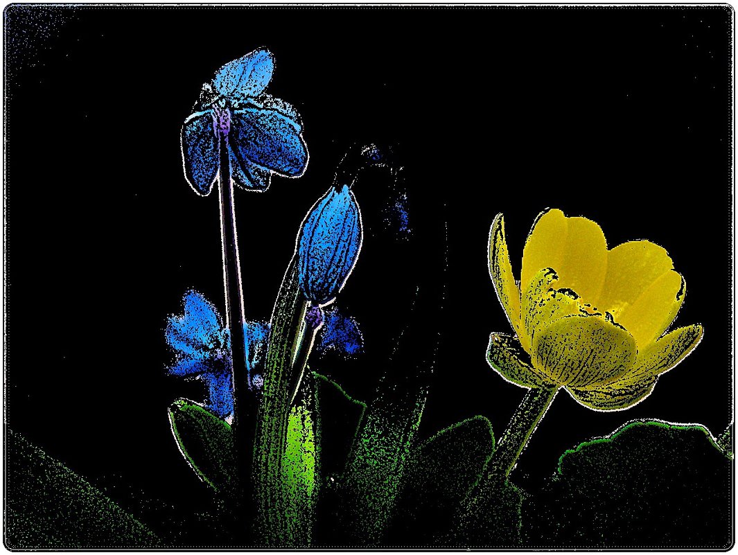 Первоцветы - Нина Корешкова