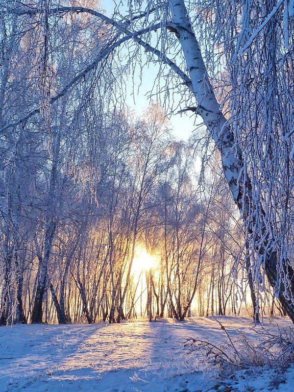 Свет зимы - Serz Stepanov