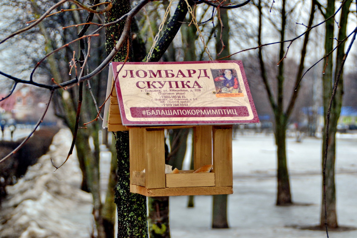 Полезная кормушка...Птички прочитали... и прониклись - Сергей F