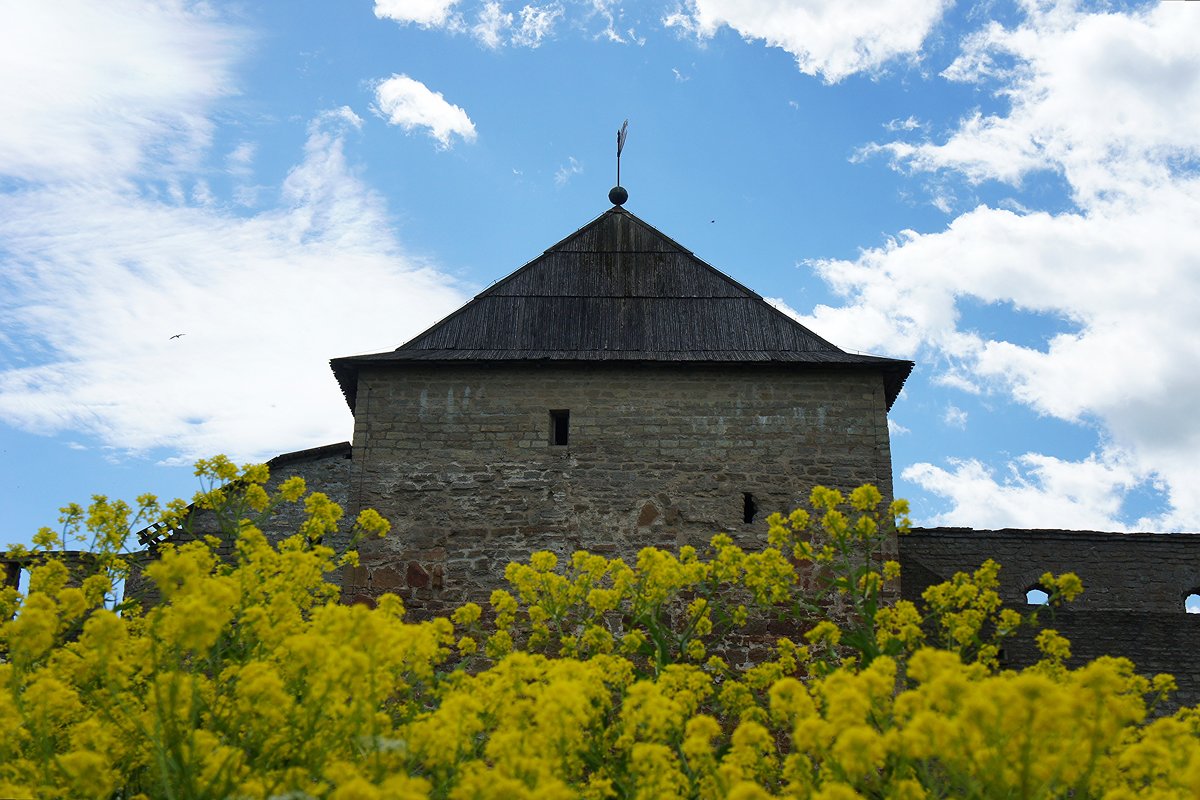 Ивангородская крепость. Широкая башня - Елена Павлова (Смолова)