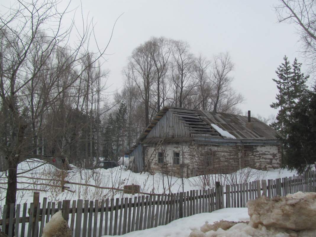 В глубинке... (12.03.2016) - Наталья Кочетова 