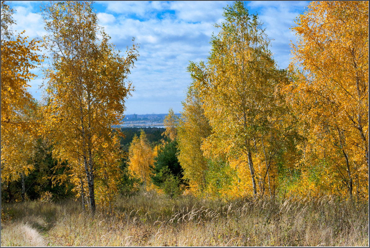 *** - Александр Лихачёв