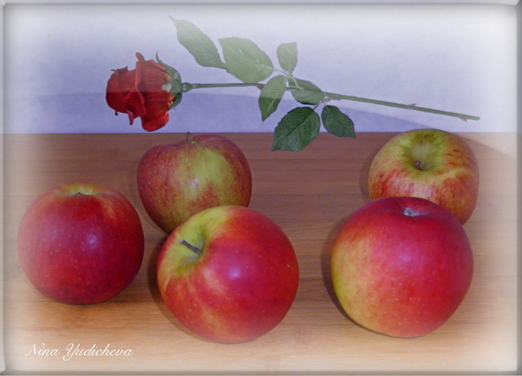 Яблоки и роза - Nina Yudicheva