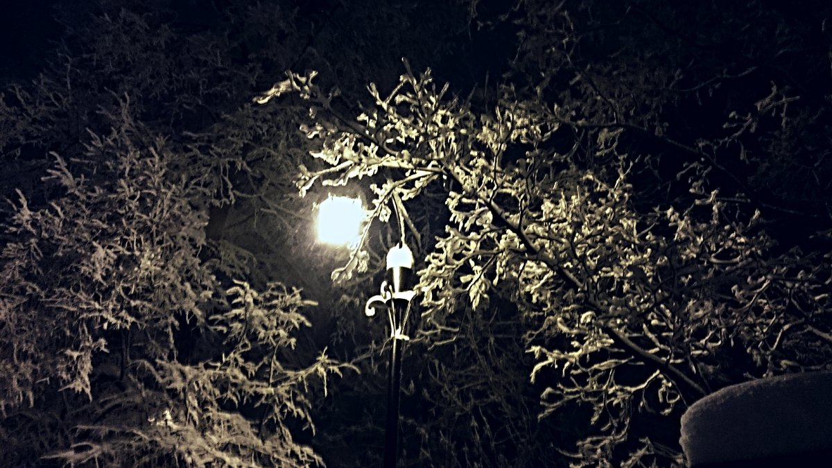 Зимний фонарь - Катерина 