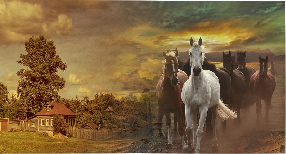 «Конь мой лЮбый, чудный мой ...» - vitalsi Зайцев