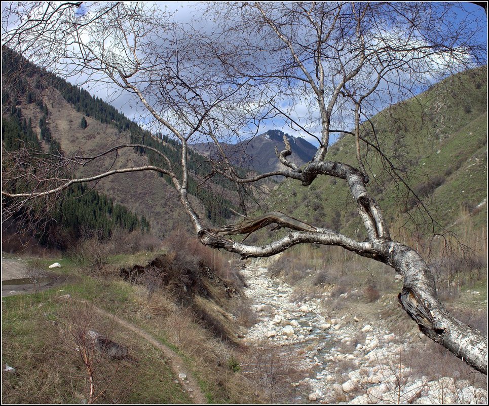 в ущелье - Сергей Савич.