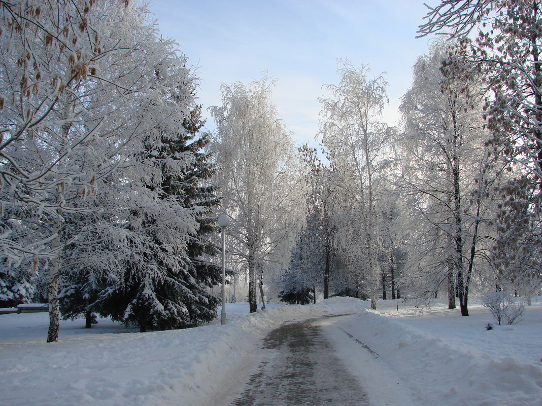 Дорожка в зимнем парке - Сергей Тагиров
