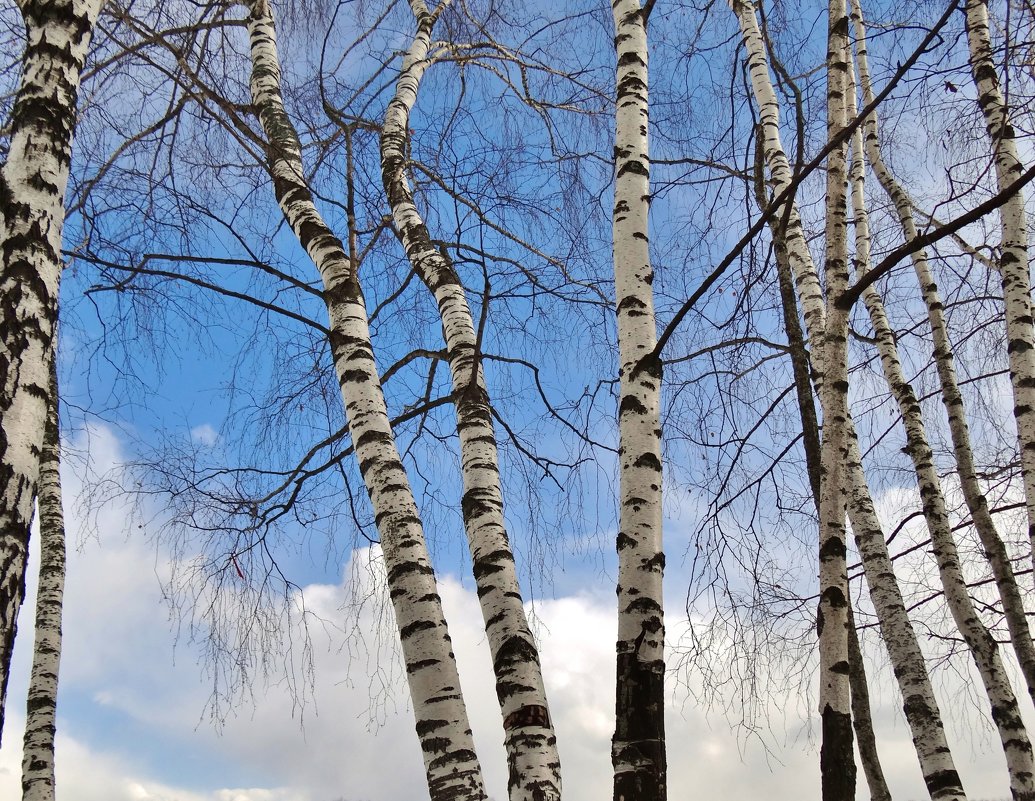 какое небо голубое... - Валентина. .