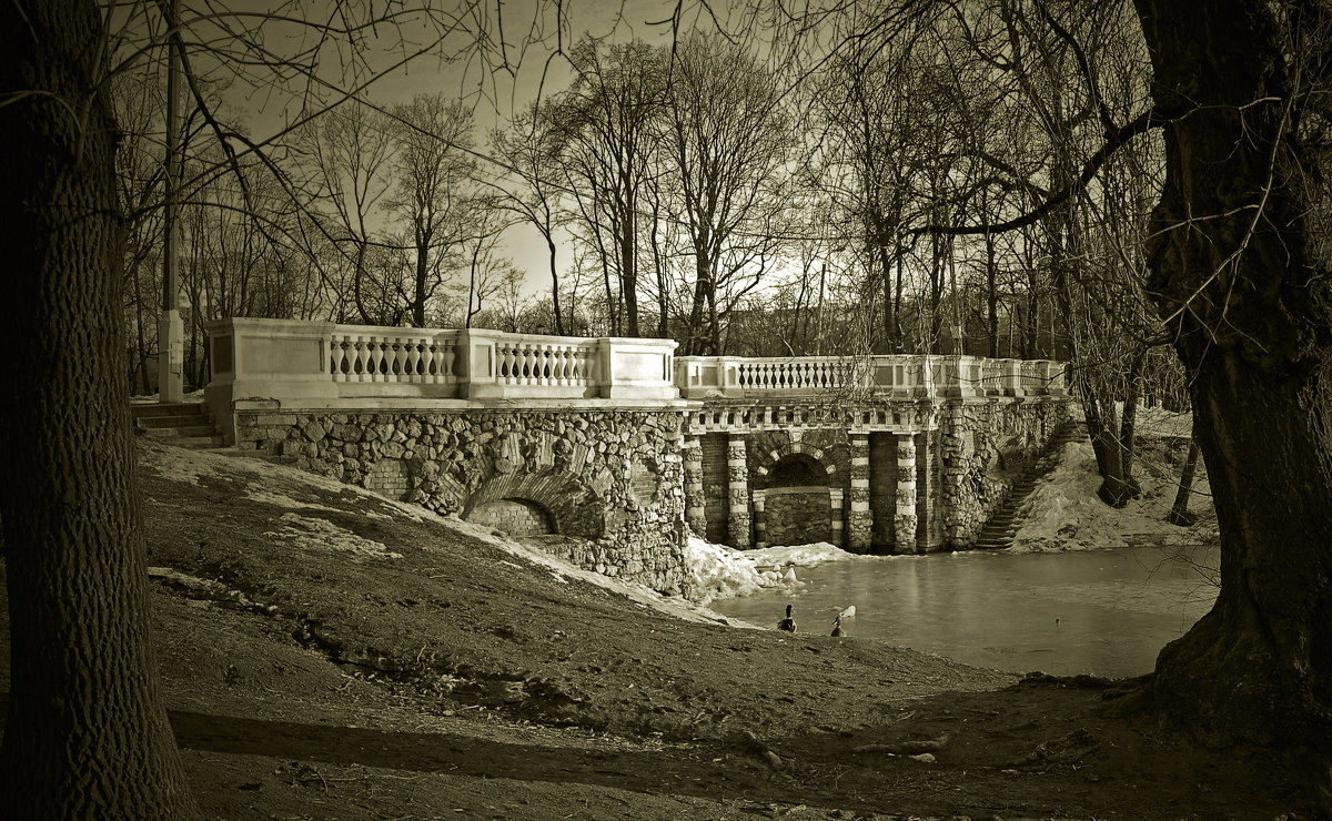 парк, мост - Артем Тимофеев