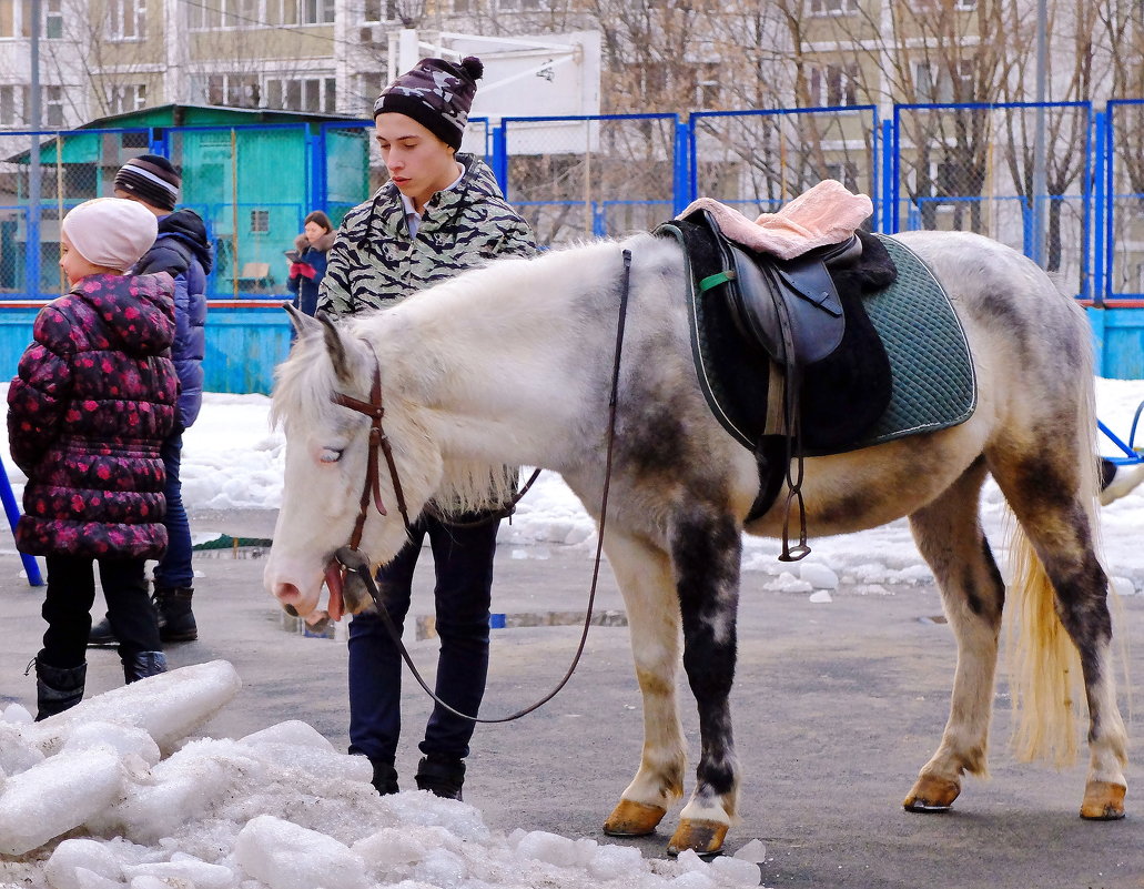 Городские зарисовки. Современники и современницы. - Геннадий Александрович