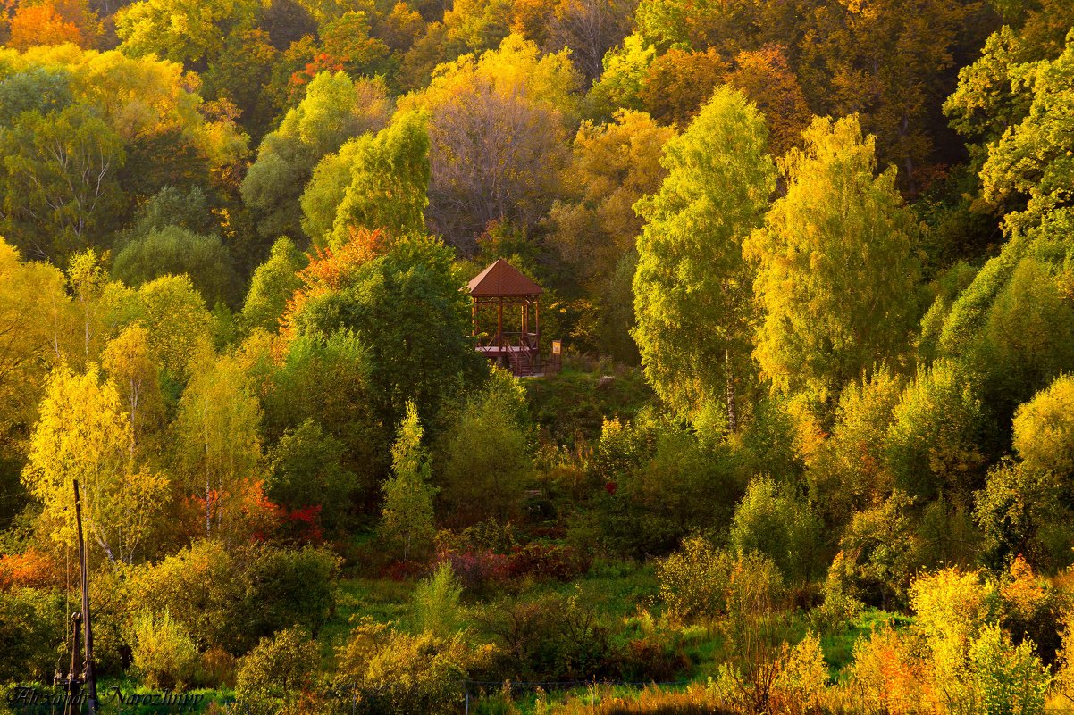 Осень в Куркино - Alexandr 