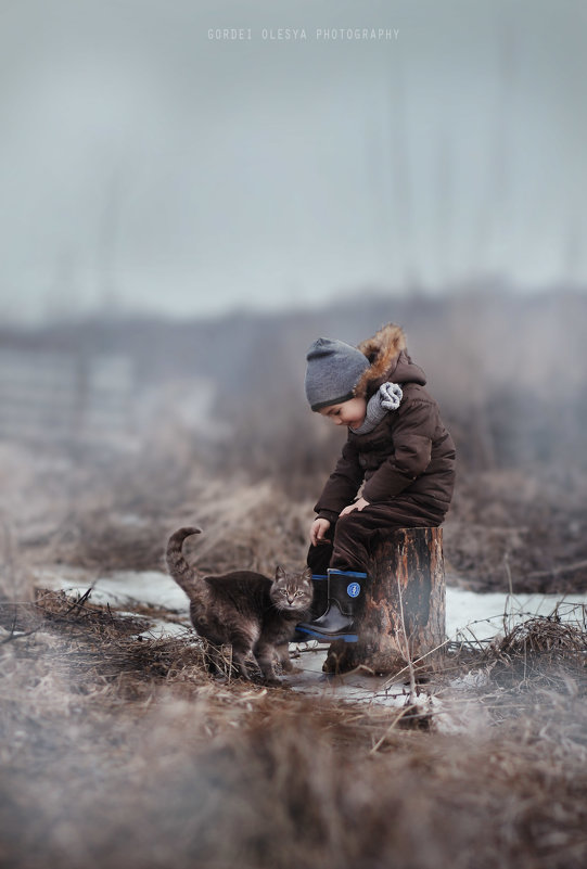 Тайны загадочного леса... - Олеся Гордей