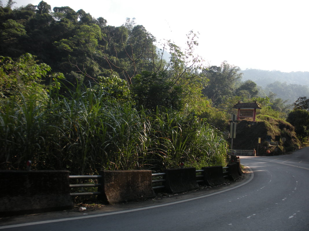 Дорога  в горах  Тайваня - Виталий  Селиванов 