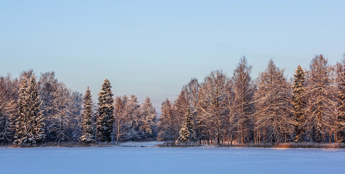 Зимняя сказка в Гатчинском парке - Алёнка Шапран