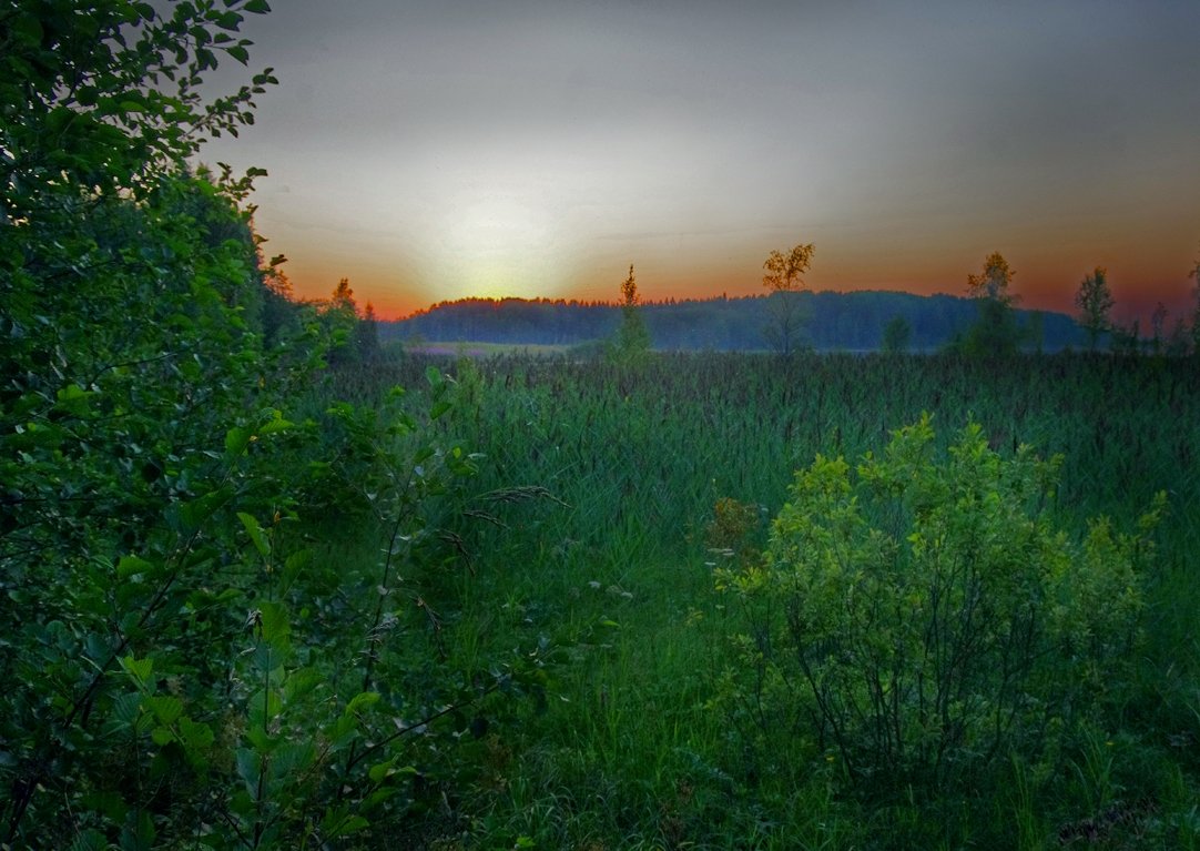 Закат над болотом - Валерий Талашов