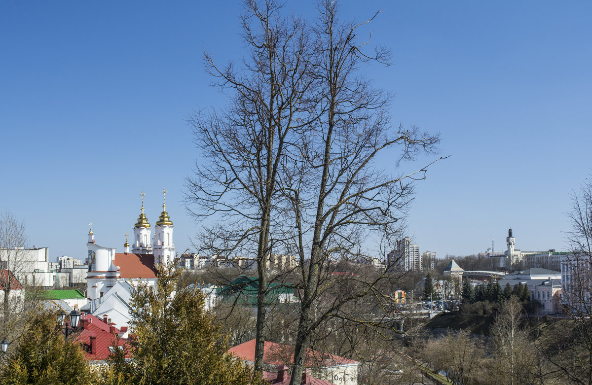 Витебские крыши - Татьяна Огаркова