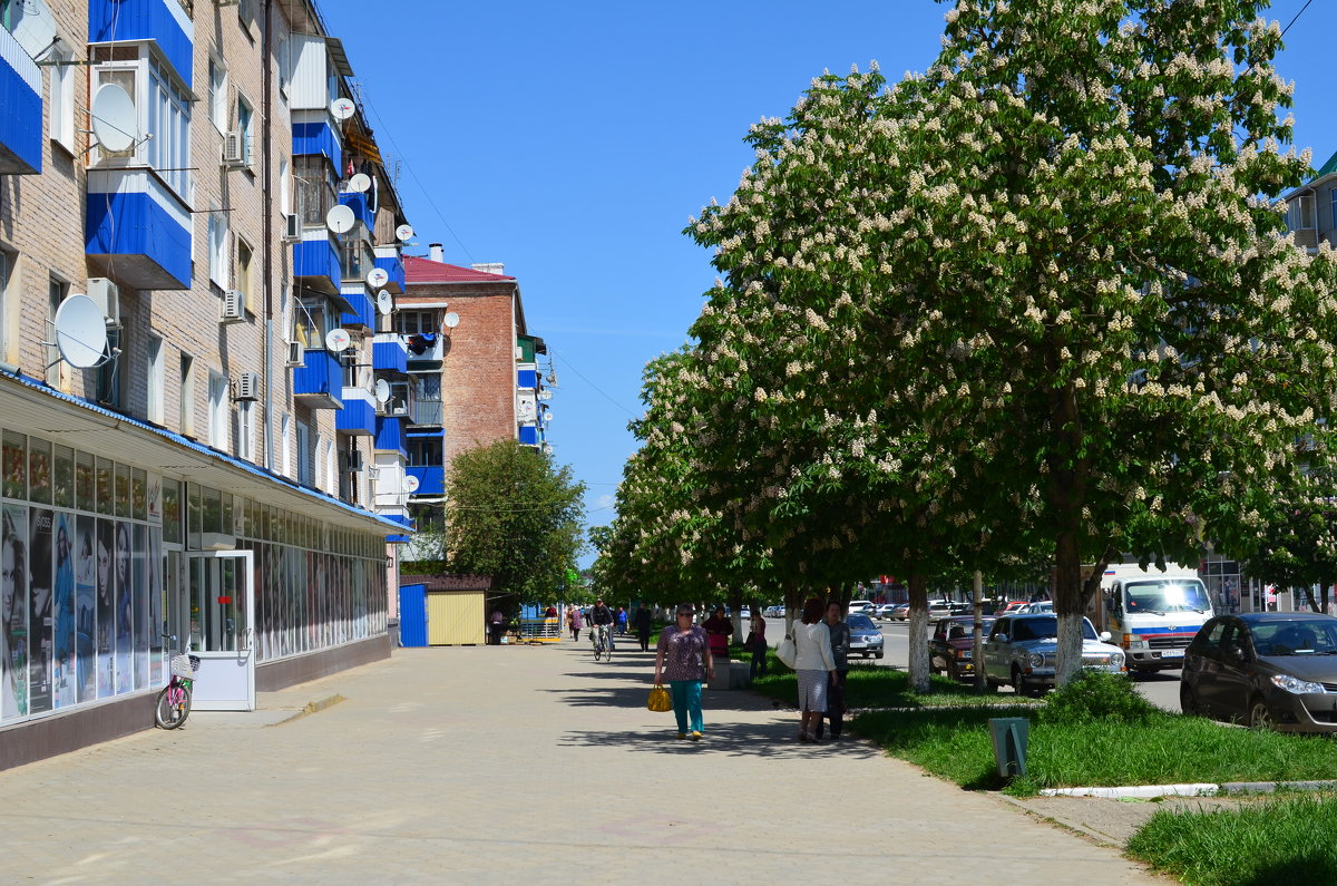 Весна в нашем городе. - Береславская Елена 