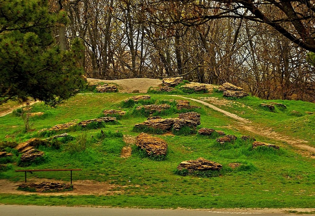 в парке - Александр Корчемный