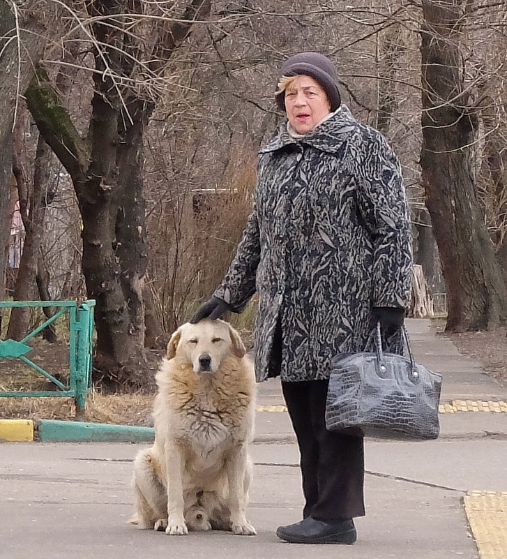 Городские зарисовки. Современники и современницы. - Геннадий Александрович