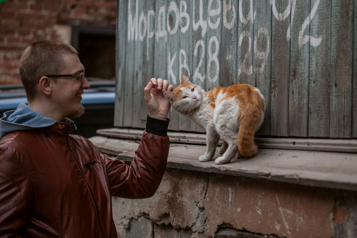 Любовь к животным - Ольга Давыдова