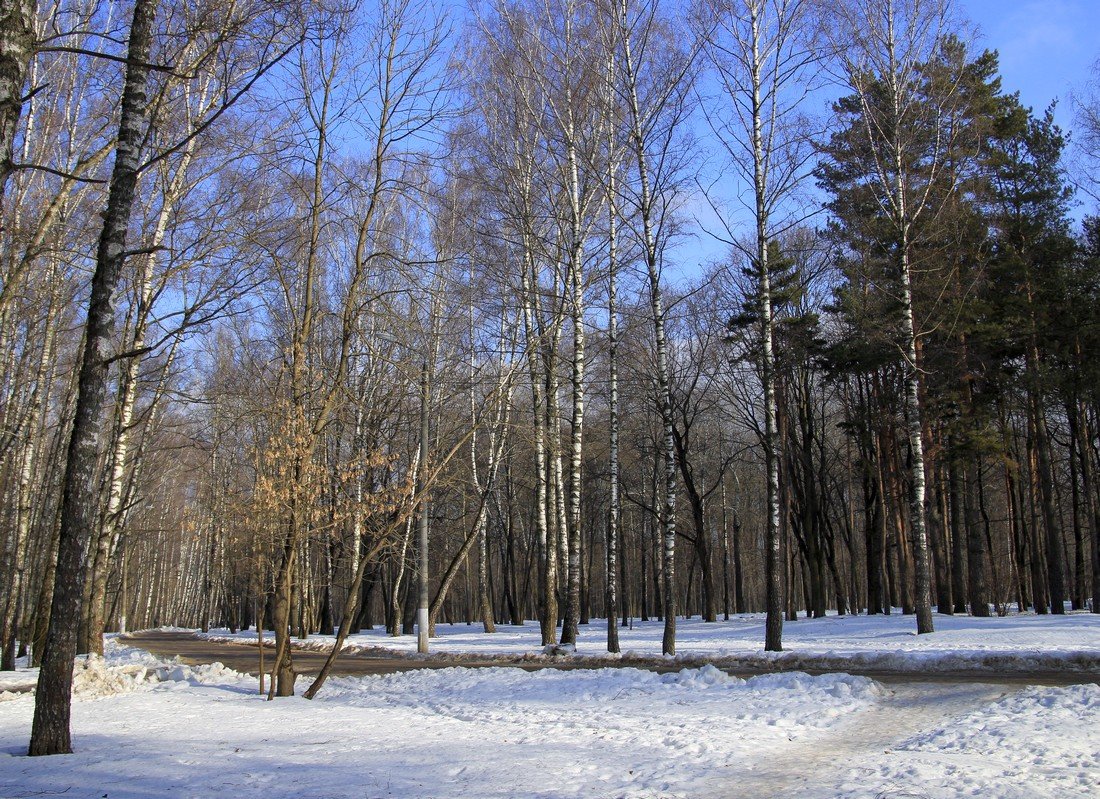 Утро в парке - Инна Щелокова