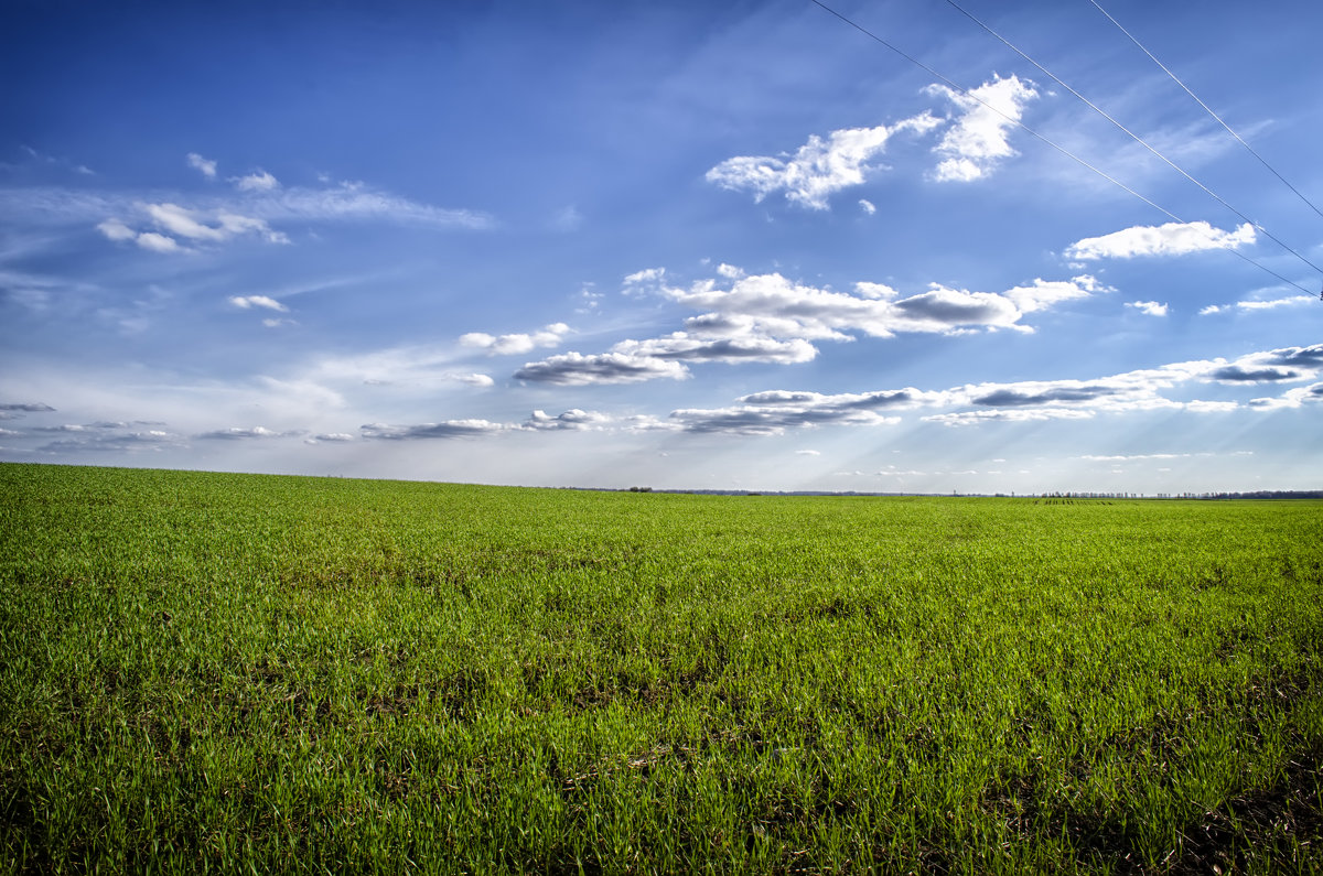 Зеленое поле и небо с облаками - Slava Leluga 