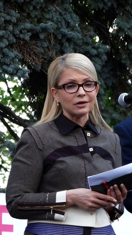 Пять минут из жизни Юлии Тимошенко Фото №5 - Владимир Бровко
