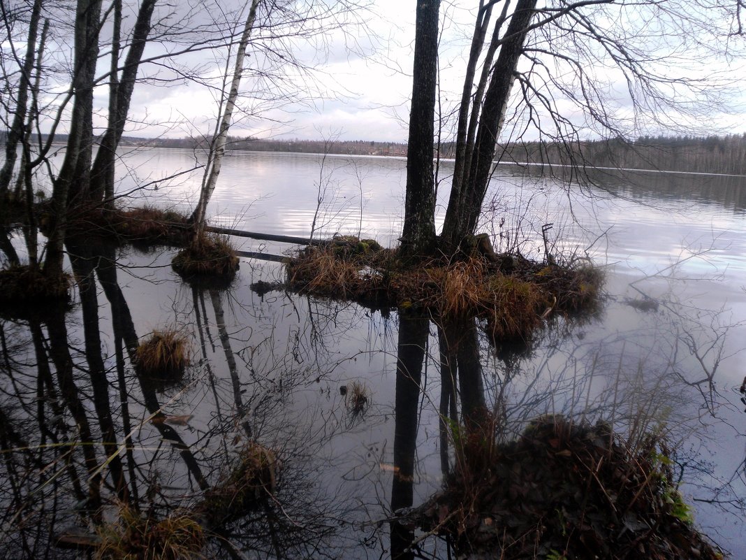 Лесное озеро - Vladimir Semenchukov